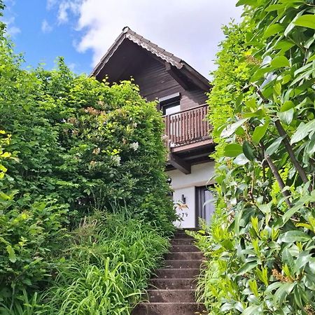Villa Odenwald Lounge Reichelsheim Esterno foto