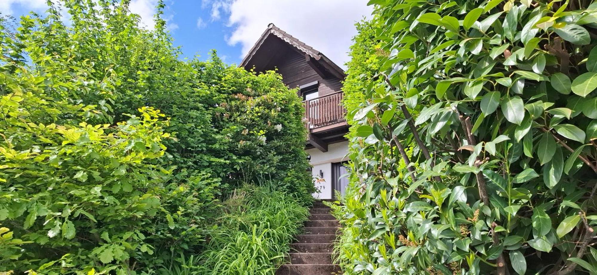 Villa Odenwald Lounge Reichelsheim Esterno foto